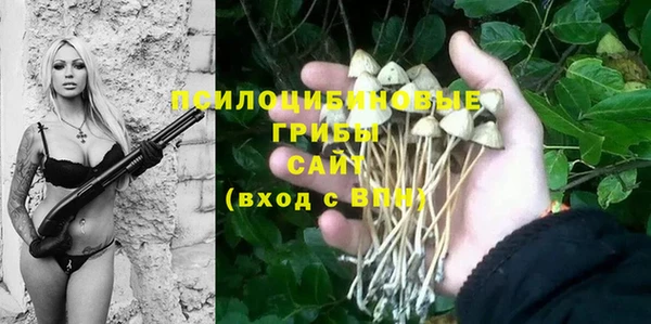 герыч Ладушкин