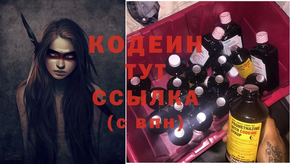 индика Лагань