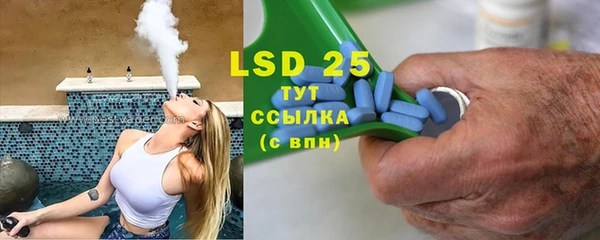 индика Лагань