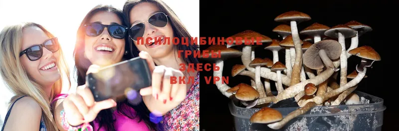 хочу наркоту  Канаш  МЕГА ссылка  Галлюциногенные грибы MAGIC MUSHROOMS 