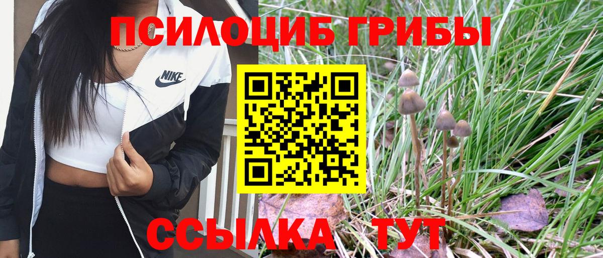 Галлюциногенные грибы мицелий Канаш