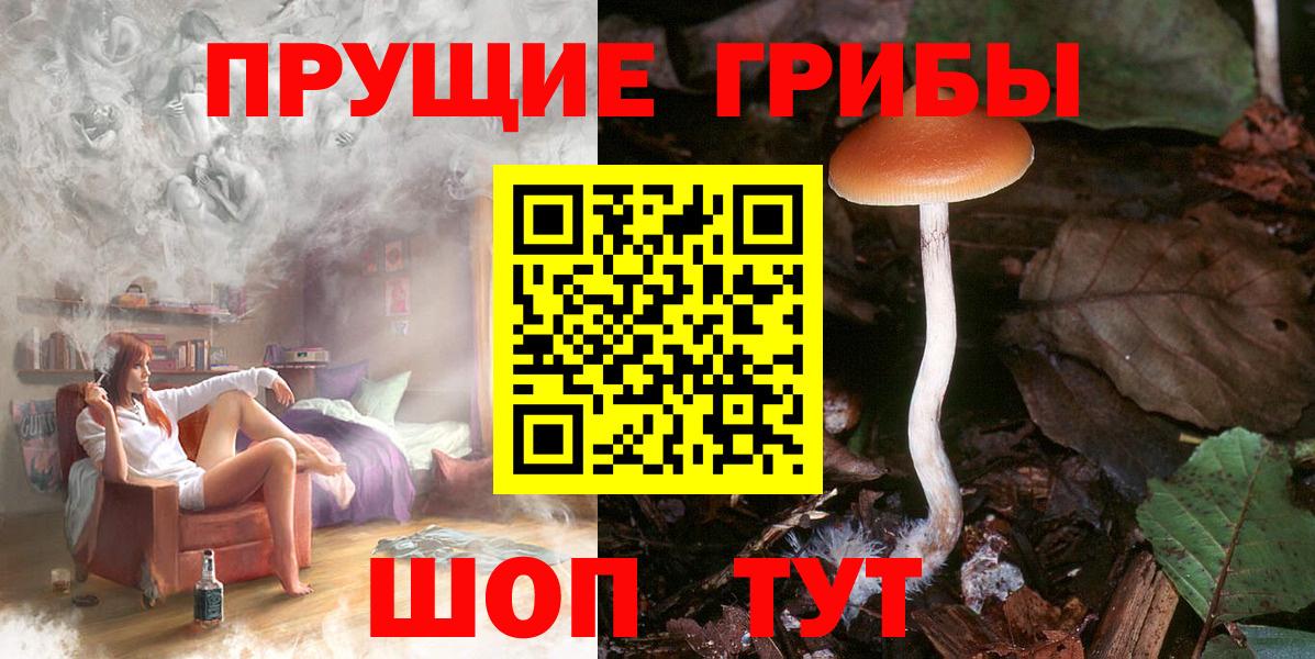 Канаш  Галлюциногенные грибы Psilocybe  Галлюциногенные грибы GOLDEN TEACHER  Вход с VPN 